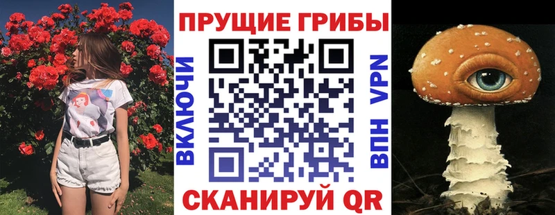 Галлюциногенные грибы мицелий  купить наркотик  Горбатов 